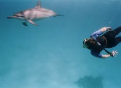 red sea dreams do come true by Greg Backeljauw 